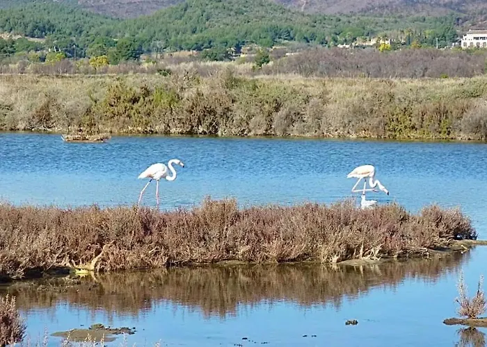 L'horizon - Piscine - A 50m De La * Ιέρ