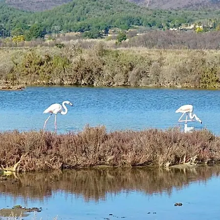L'horizon - Piscine - à 50m De La * Hyères
